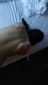 后入青岛骚母狗叫声淫荡